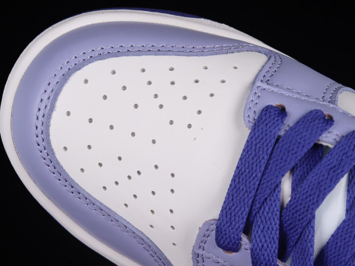 Nike Dunk Low Blueberry DZ4456-100