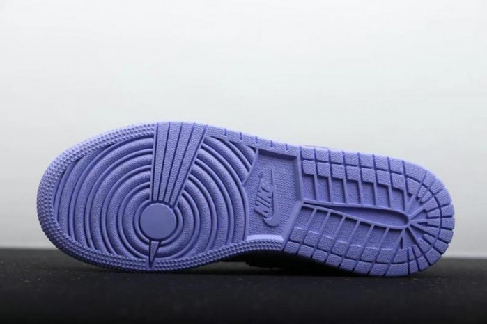 Air Jordan 1 Low SE Arctic Punch CK3022-600