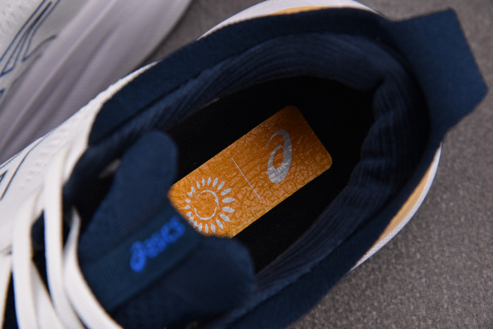 As*ic*s gel nimbus 25 