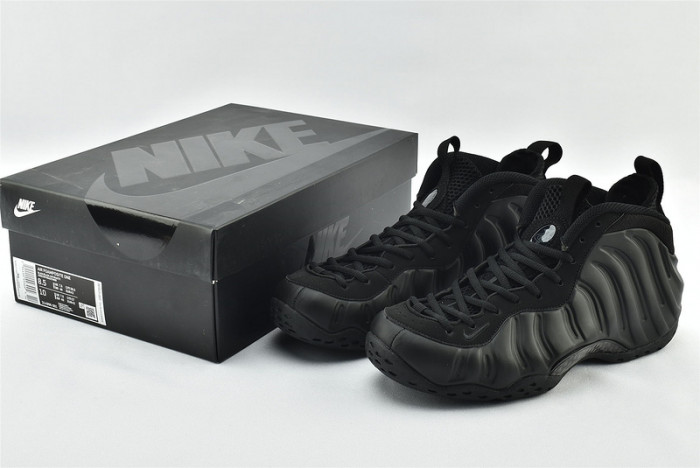 Nike Air Foamposite One Anthracite 314996-001