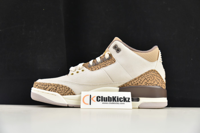 Air Jordan 3 "Palamino" CT8532-102