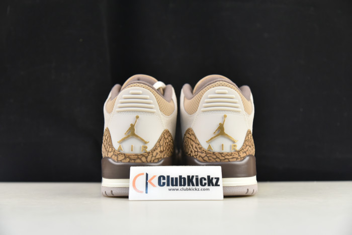 Air Jordan 3 "Palamino" CT8532-102