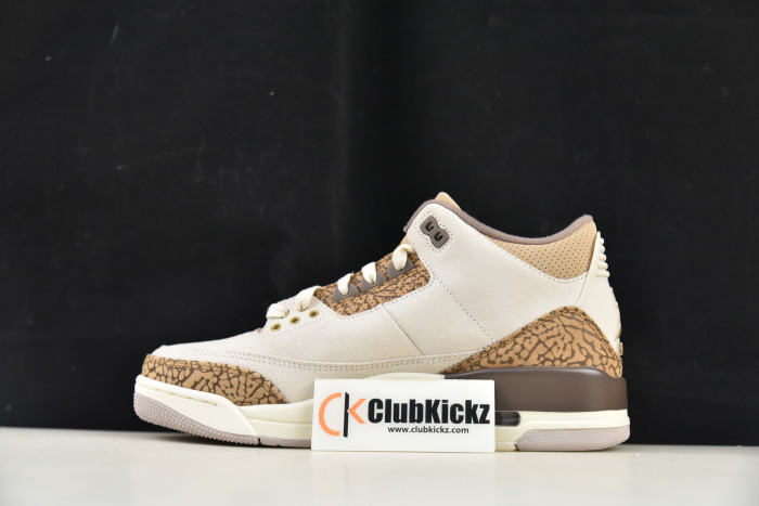 Air Jordan 3 "Palamino" CT8532-102