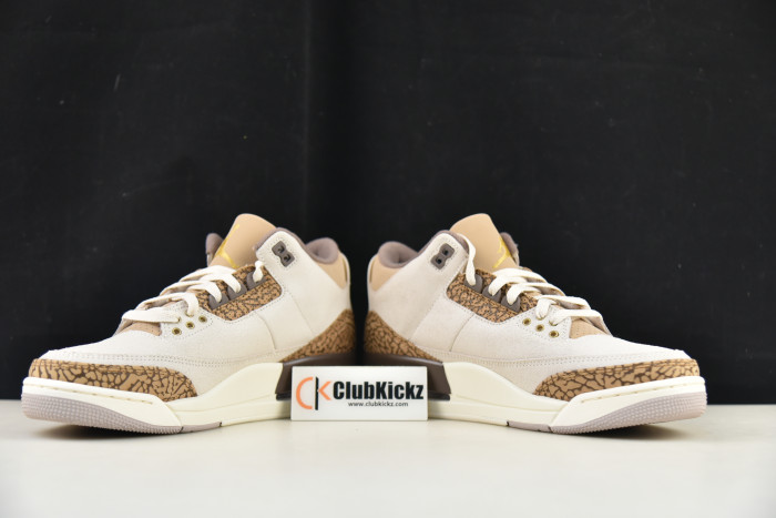 Air Jordan 3 "Palamino" CT8532-102
