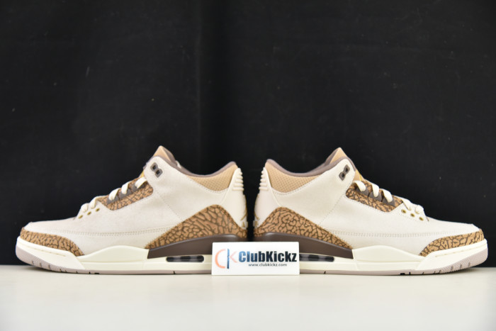 Air Jordan 3 "Palamino" CT8532-102